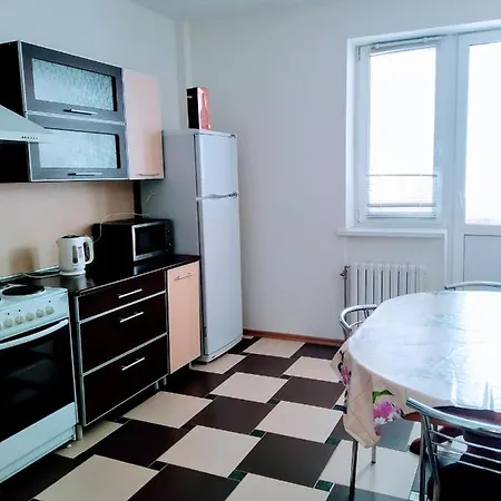 Apartament Апартаменты Притыцкого 87 *
